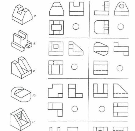 Dicas para desenhar árvores na representação de arquitetura